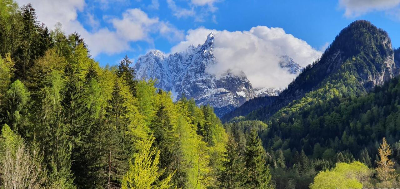 Apartment Alpska Astra Kranjska Gora Bagian luar foto