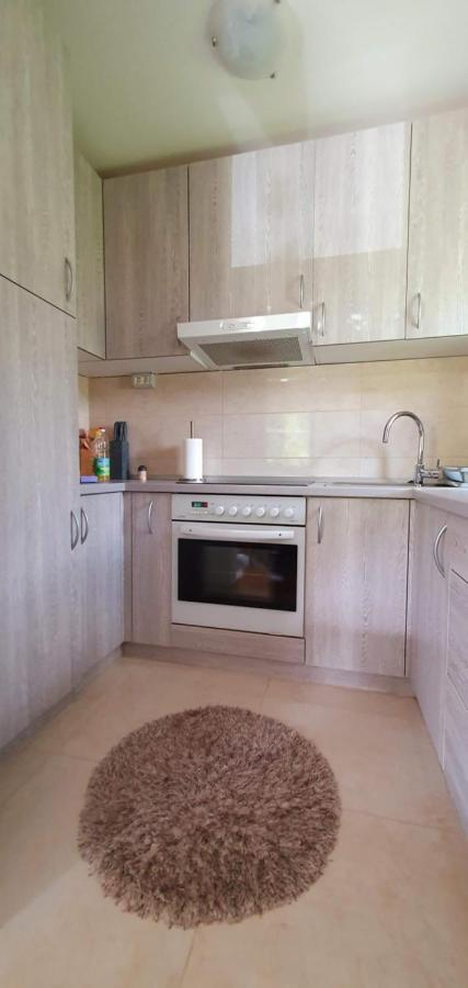 Apartment Alpska Astra Kranjska Gora Bagian luar foto