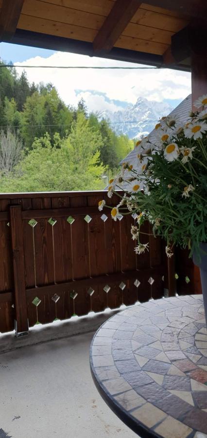 Apartment Alpska Astra Kranjska Gora Bagian luar foto